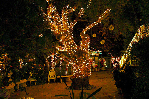 Secret Garden Party | UK